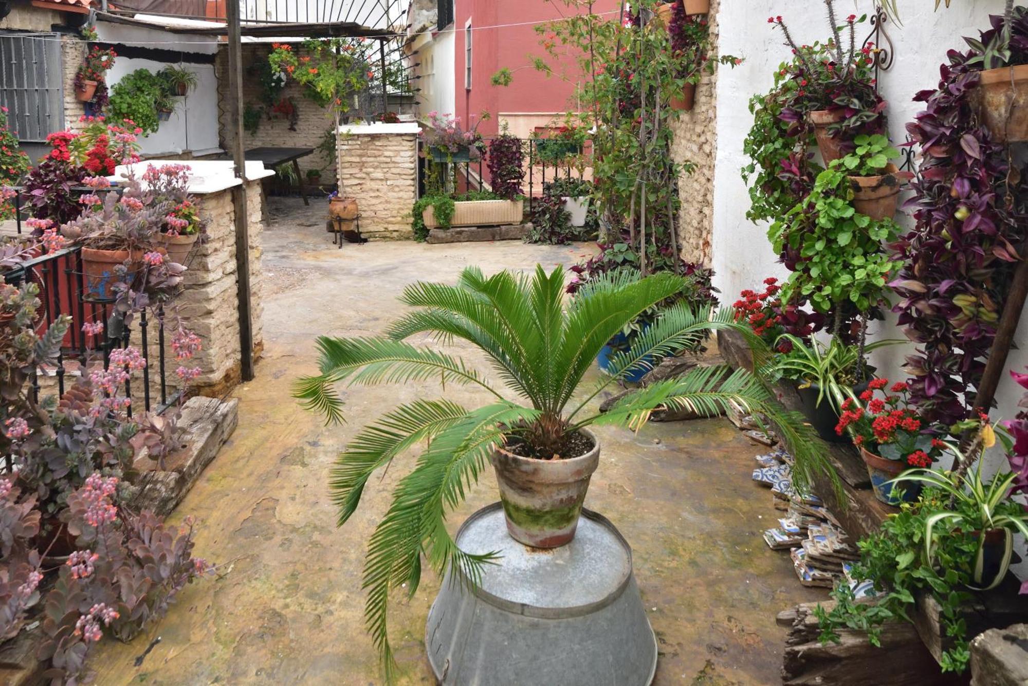 Casa Tenorio Barrio De Santa Cruz Séville Extérieur photo