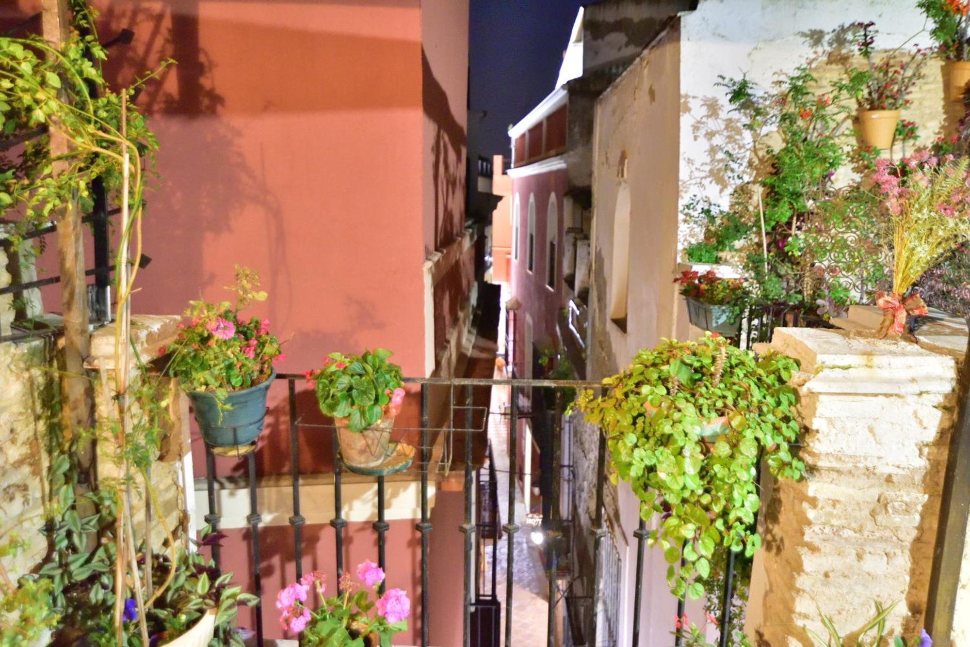 Casa Tenorio Barrio De Santa Cruz Séville Extérieur photo